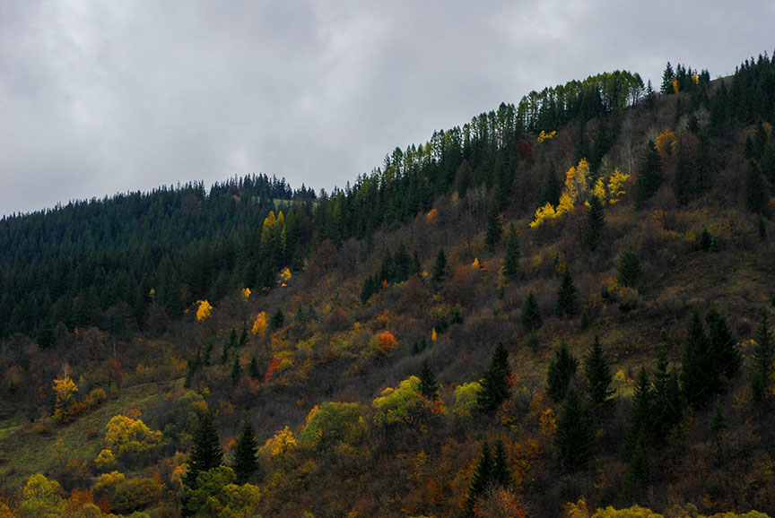 November Is the Perfect Time for Bulk Water Delivery in Spokane & Spokane Valley