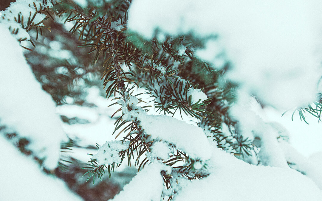 Winter Water Delivery & Water Storage Tips: Keep Your Home Safe & Supplied All Season Long